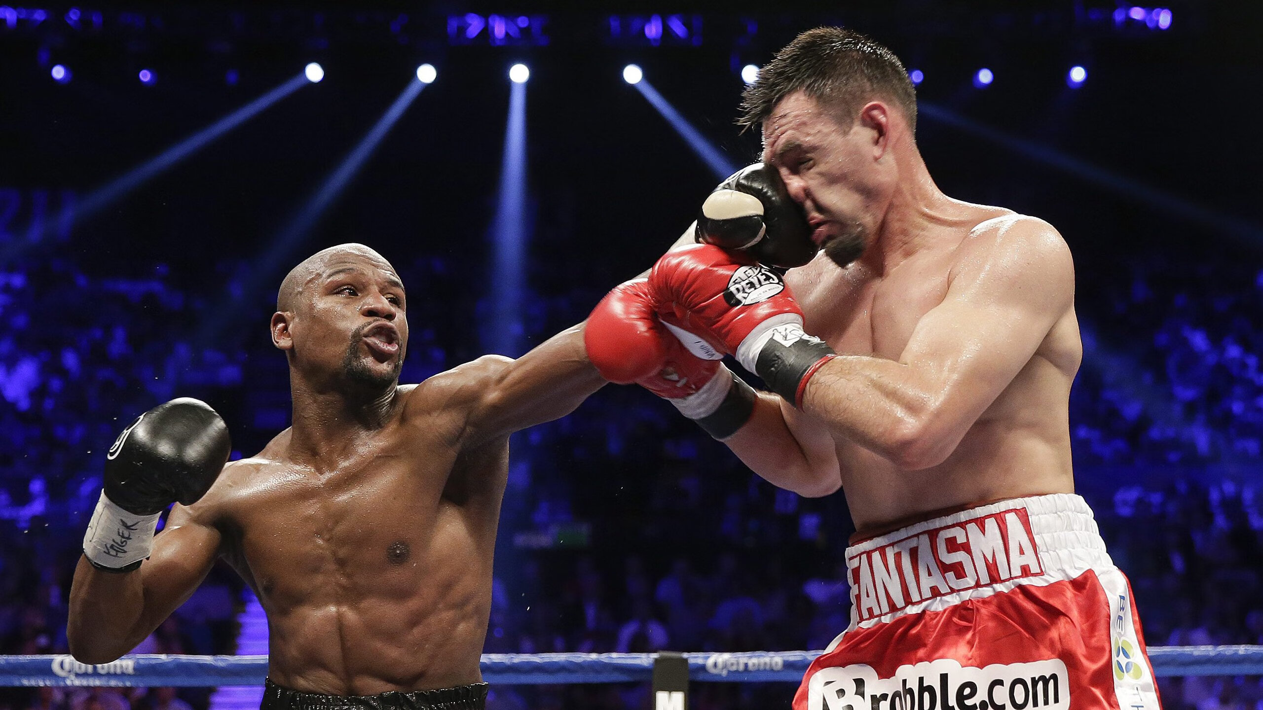 智能化运动课堂教学模式与应用评估，运动智能概述